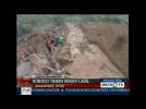 Indonesia landslide death toll rises