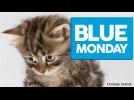 Blue monday: Happy worst day of the year!