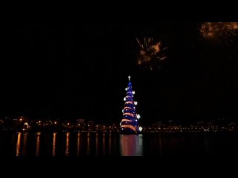 Brazil lights up world's biggest floating Christmas tree