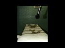 U.S. court halts execution of mentally ill Texas death row inmate
