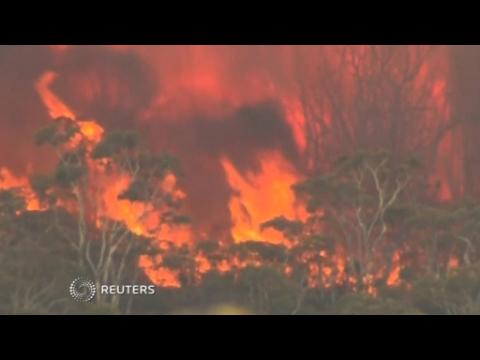 Australia fire destroys dozens of homes