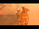 Uncontrolled Australia fire destroys dozens of homes, livestock at risk