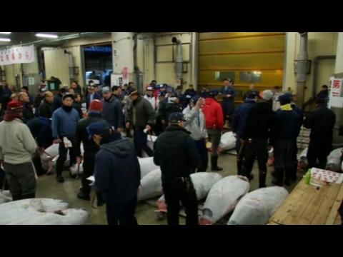 First tuna fish auction of the year in Japan