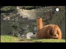 Machu Picchu Peru’s Inca citadel threatened by climate change