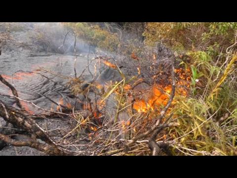 Lava flow breaks out in Hawaiian forest