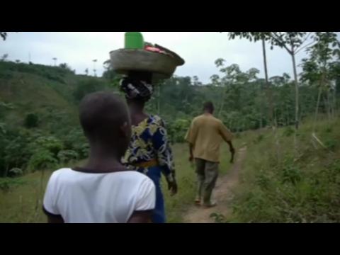 Tackling child labour on cocoa farms