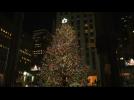 Rockefeller tree lights up for Christmas