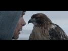 A Spectacular Scene of Falconry From 'Aloft'
