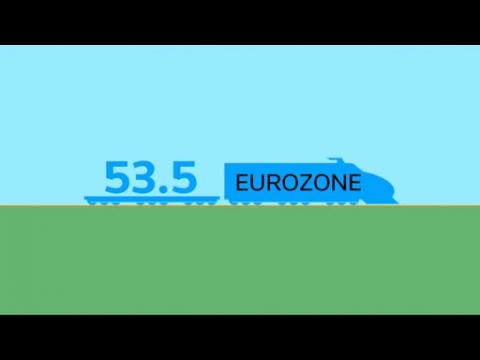 Euro zone slows - but still on track?