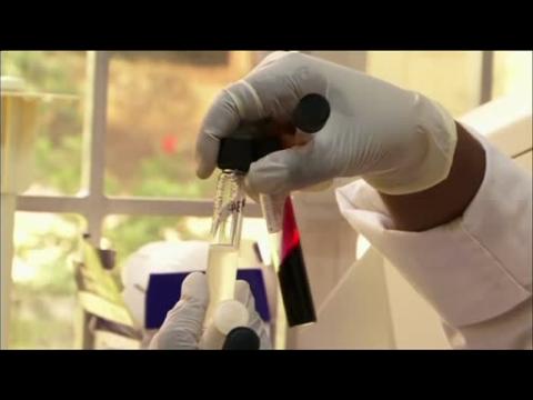 Anti-malaria jab hope