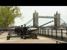 Royal baby welcomed with cannon salute