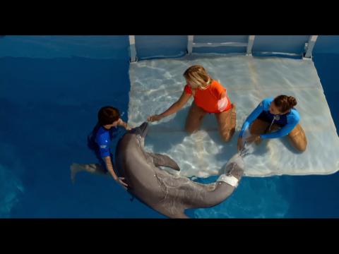 Behind "The Mission" Of 'Dolphin Tale 2'
