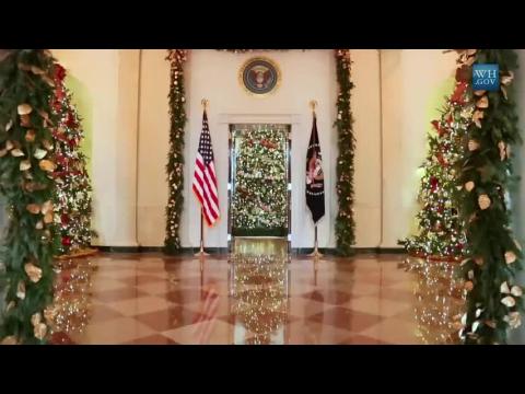 It's A Dogs Life At The White House During The Holidays