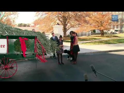 Michelle Obama, Sasha and Malia Receive the White House Christmas Tree