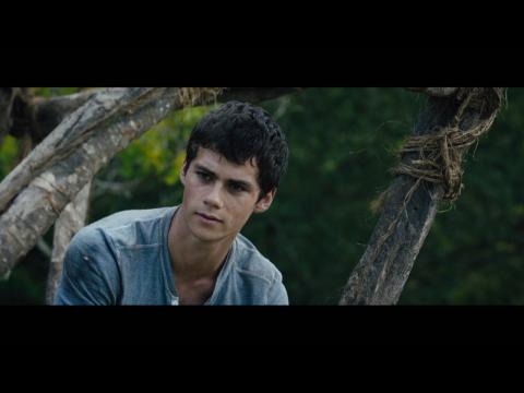 "The Maze Runner" First Trailer