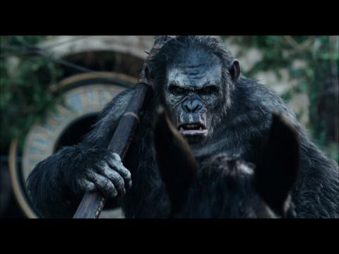 The Apes Don't Want War But They Are Ready In "Planet Of The Apes"