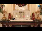 The White House Gingerbread House: Time Lapse Video