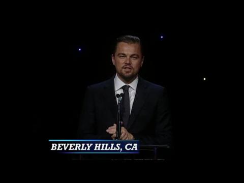 Leonardo DiCaprio, Jonah Hill, Tom Hanks Praise Editors