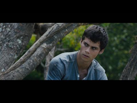 The 'The Maze Runner' New Trailer Is Released