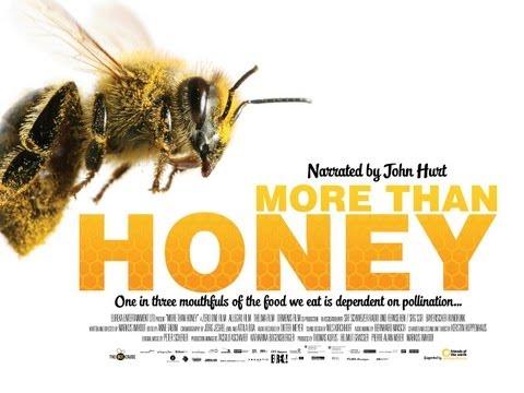 MORE THAN HONEY Official UK Theatrical Trailer (featuring John Hurt narration)