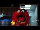 Muppets Most Wanted - Teaser | Official Disney HD