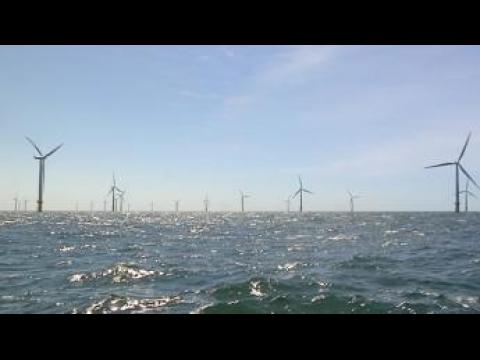Renewable energy: France's wind power play