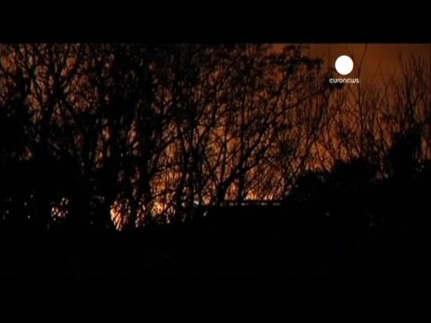 Buenos Aires ecological ‘lung’ is partly destroyed by fire