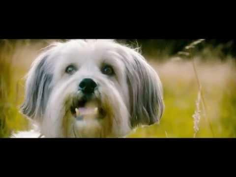 Pudsey The Dog: The Movie Teaser Trailer [Vertigo Films] [HD]