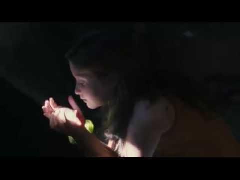 Le meraviglie (Les Merveilles) - Bande Annonce (VO)