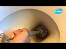 Watch video of Tired To See Dirt On Your Toilet ?
With White Vinegar, No Need To Rub It For Hours Anymore !
Just Put An Eight Of A Gallon (half A Liter) In The Toilet, And Leave It For A Few Hours.(during A Night For Example)
Here You Go ! The Dirt And Scale Will Be Clean Off Easily !

Find Thousands Of Other Practical Videos On Http://www.pratiks.com

Join Us On Facebook : Http://www.facebook.com/pages/Pratikscom/60744199028?fref=ts

Follow Us On Twitter : Https://twitter.com/pratiks - How to clean toilet with white vinegar ? - Label : Pratiks EN -