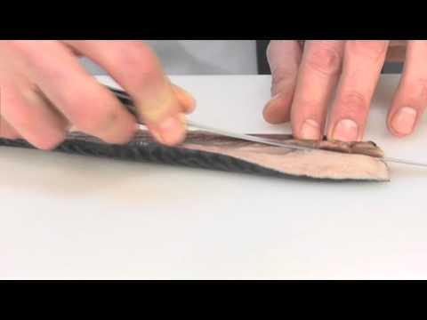 How to fillet a round fish