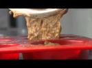 Sticky toffee pudding Recipe