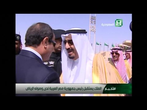 Egypt's Sisi meets new Saudi King to discuss Middle East