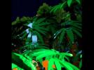 LEGO Jurassic World Game - Teaser Trailer #2