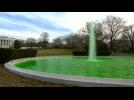 White House fountain flows green for St. Patrick's Day