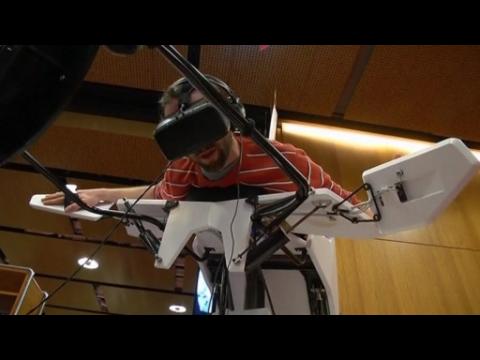 Virtual reality allows humans to fly like birds