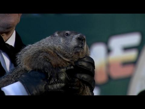 Groundhog predicts six more weeks of winter