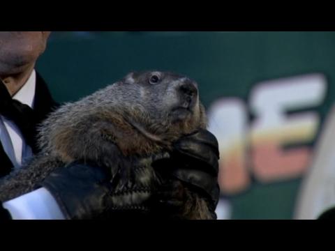 Groundhog predicts six more weeks of winter