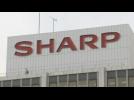 Sharp seeks major bailout to save business