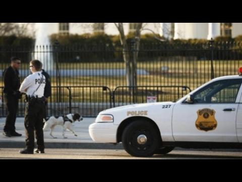 Secret Service agents reportedly drives car into White House barrier