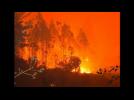 Forest fires rage in southern Chile
