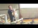 Des agriculteurs Normands se pr&eacute;parent pour le Salon - Label : Paris-Normandie - Category : News