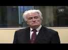 Karadzic sentence increased to life for Bosnia genocide