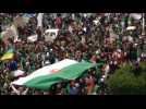Algerians launch another mass protest against Bouteflika (2)