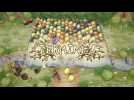 Vidéo Kingdom Hearts III : Mini-jeu de Coco Lapin n°2 Vidéo Kingdom Hearts III : Mini-jeu de Coco Lapin n°2