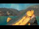 Vido Far Cry New Dawn - Les 6 poissons