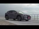 The new Lexus UX 250h Design in Grey