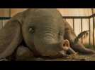 Dumbo - Bande annonce 11 - VO - (2019)