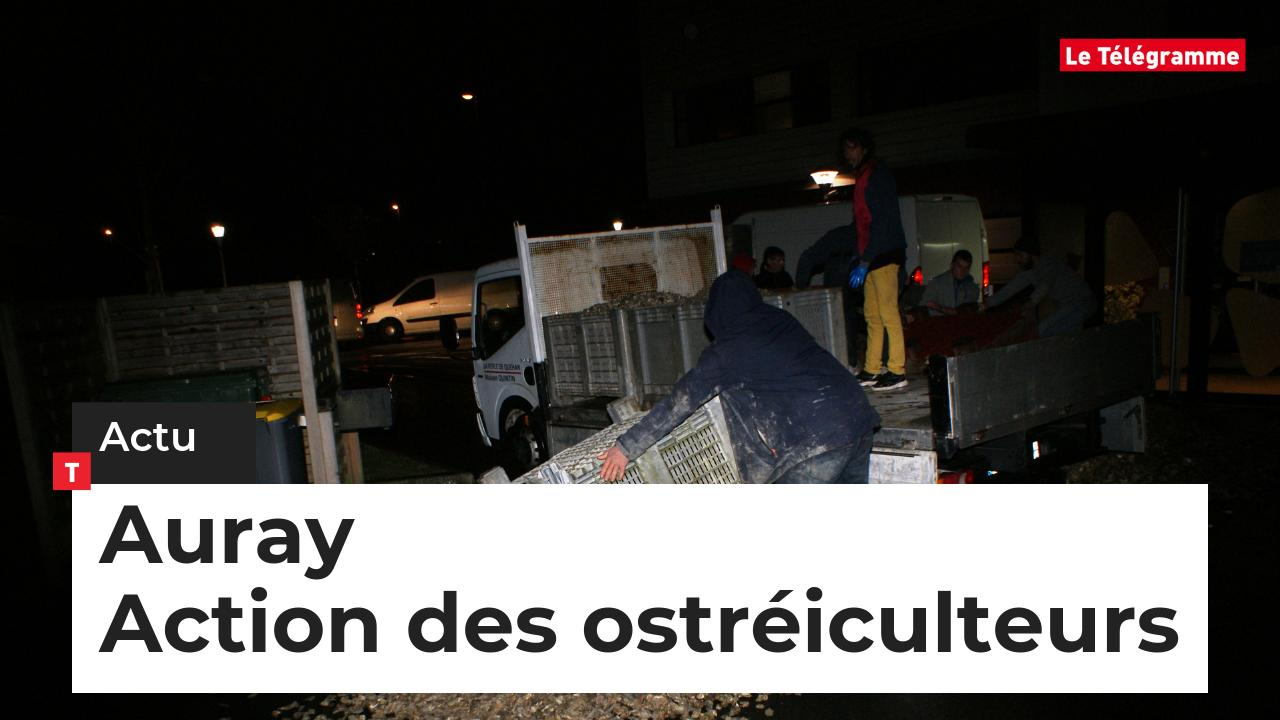 Auray Les ostréiculteurs déversent 5 t de coquilles devant la communauté de communes (Le Télégramme)