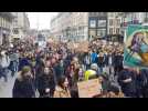 Global Climate Strike inspired by Greta Thunberg in Lille (France)
